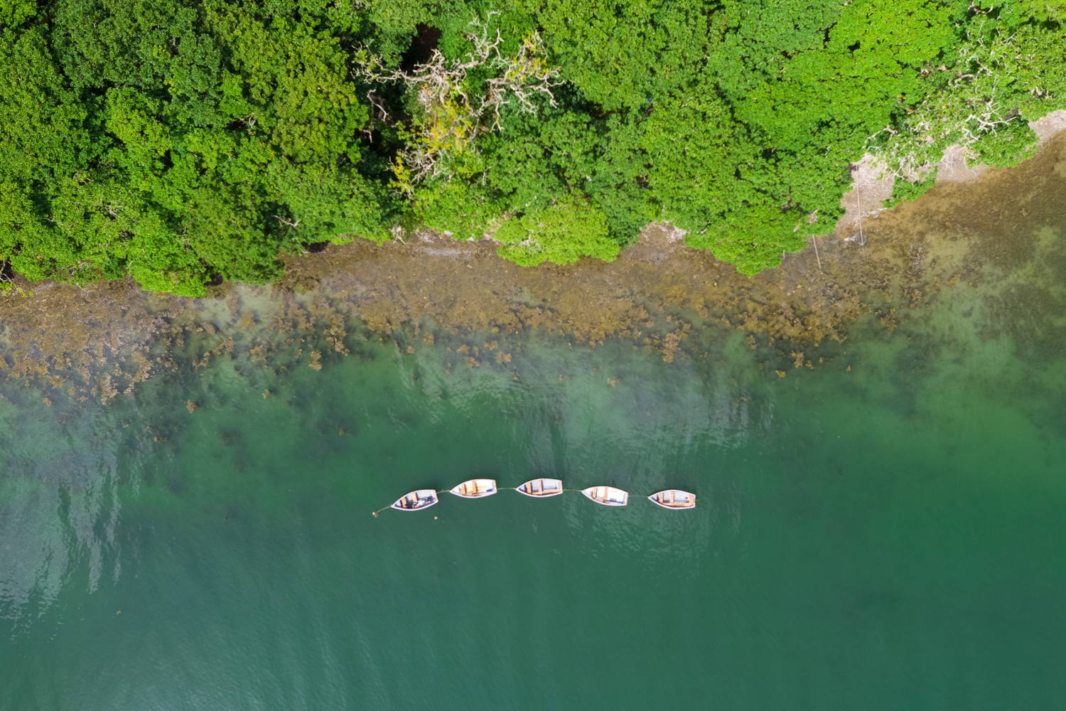 Boats on the Helford River at Port Navas