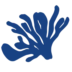 Seaweed blue illustration